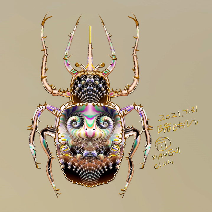 Beetle collection