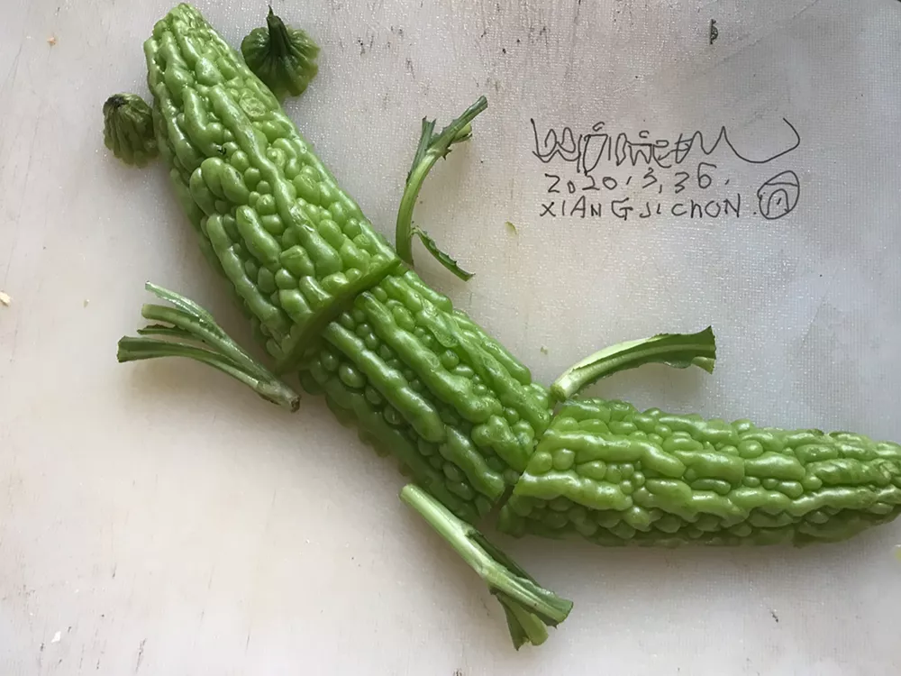 Lizard