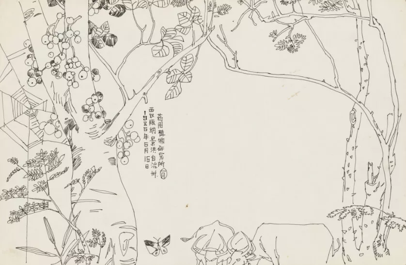 Sketching at the Institute of Medicinal Plants